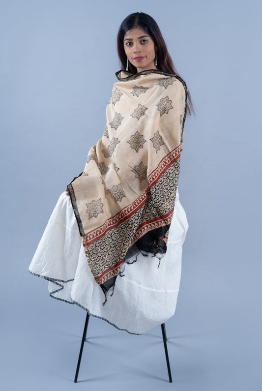OMVAI The Princess Handloom Chanderi Silk Dupatta with Zari border