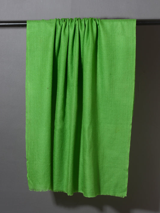 FERN GREEN Solid Pashmina