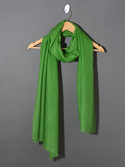 FERN GREEN Solid Pashmina