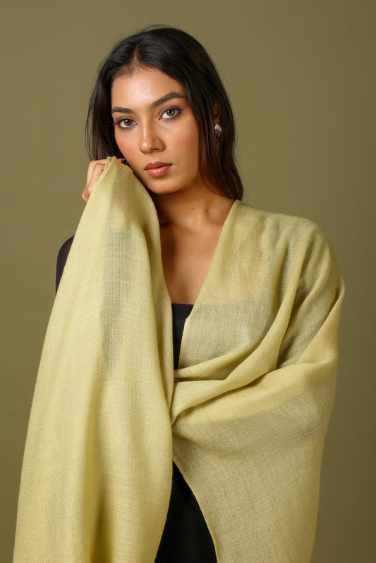 ARTICHOKE Solid Pashmina