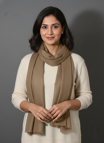 CLAY Solid Pashmina Stole | OMVAI