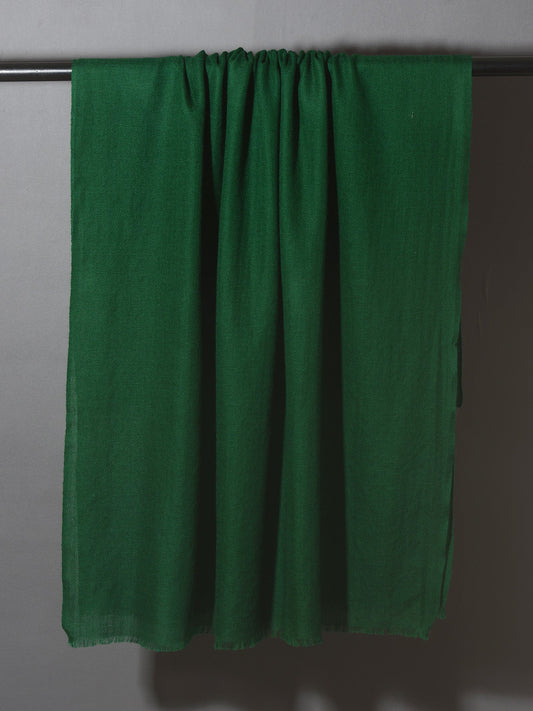 dark green scarf