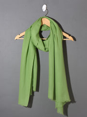 LIGHT GREEN Solid Pashmina