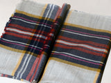 Checks Kashmiri Patterned Pashmina Stole - Red Blue