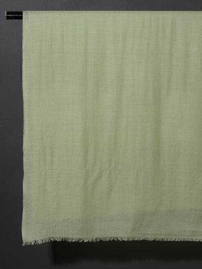 ARTICHOKE Solid Pashmina
