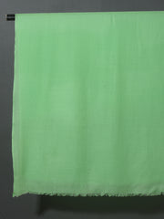 MINT GREEN Solid Pashmina