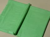 MINT GREEN Solid Pashmina